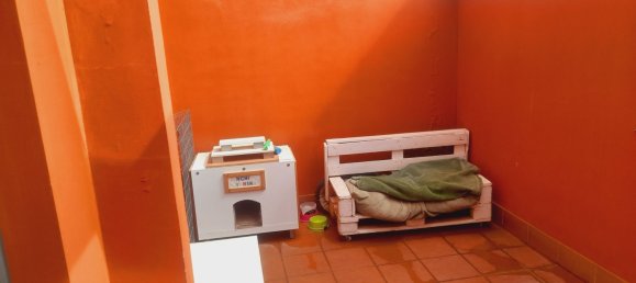 3 Schlafzimmer Haus in Moraleja del Vino, Spain, Nr. 63955 7