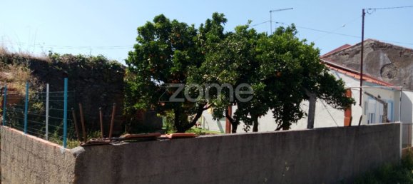 3 Schlafzimmer Haus in Tomar, Portugal, Nr. 296127 3