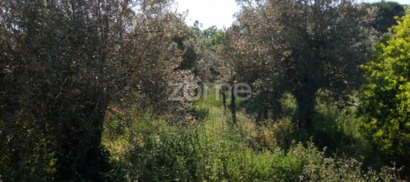 3 Schlafzimmer Haus in Tomar, Portugal, Nr. 296127 20