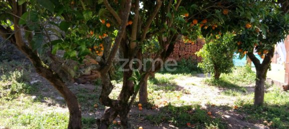 3 Schlafzimmer Haus in Tomar, Portugal, Nr. 296127 4