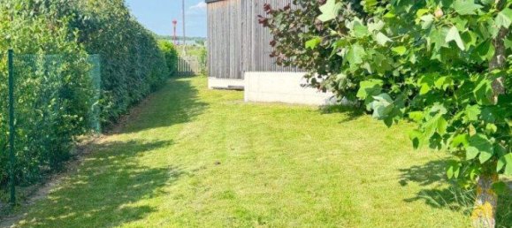 3 rooms Bungalow in Bocksdorf, Austria No. 148253 7