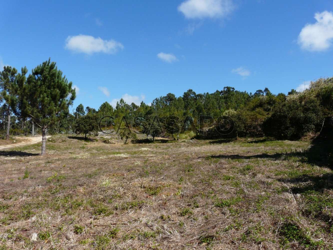Terrain à Ericeira, Portugal No. 301993