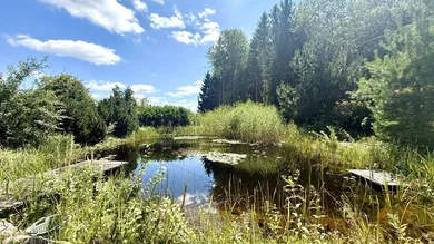 8غرفة فندق في Pinkafeld, Austria رقم 207864