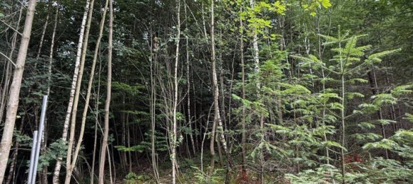 Земельный участок 20000м² в Пассау, Германия № 317214 2