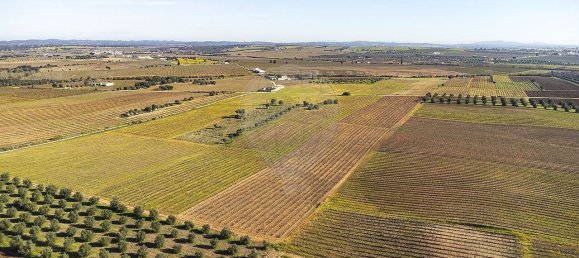148900m² Land in Reguengos de Monsaraz, Portugal No. 108913 26