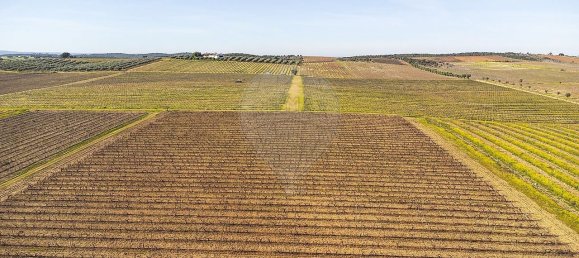 148900m² Land in Reguengos de Monsaraz, Portugal No. 108913 49