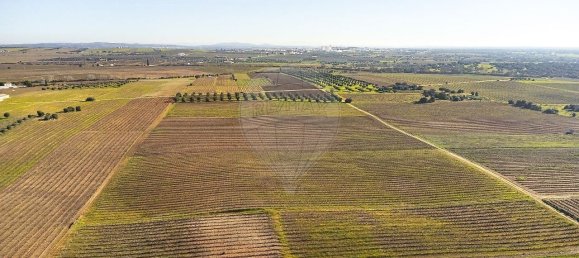 148900m² Land in Reguengos de Monsaraz, Portugal No. 108913 30