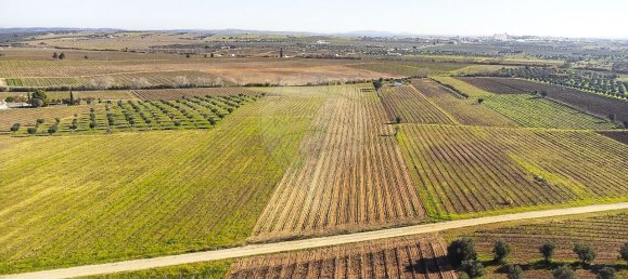 148900m² Land in Reguengos de Monsaraz, Portugal No. 108913 27