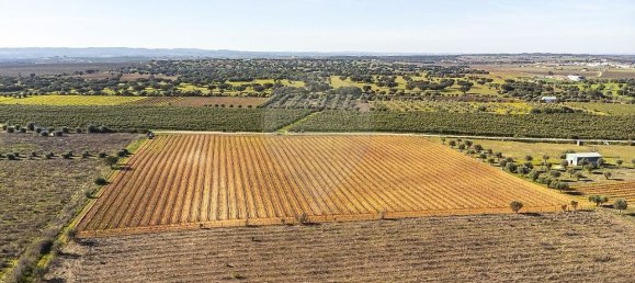 148900m² Land in Reguengos de Monsaraz, Portugal No. 108913 4