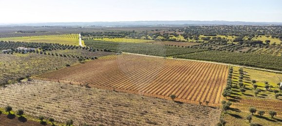 148900m² Land in Reguengos de Monsaraz, Portugal No. 108913 5