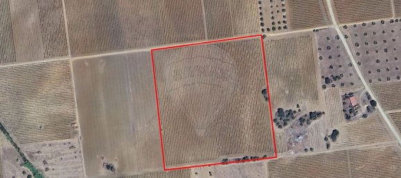 148900m² Land in Reguengos de Monsaraz, Portugal No. 108913 34