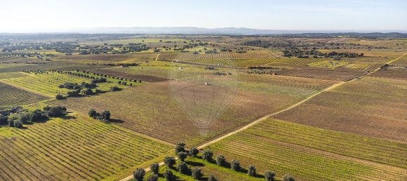 148900m² Land in Reguengos de Monsaraz, Portugal No. 108913 33