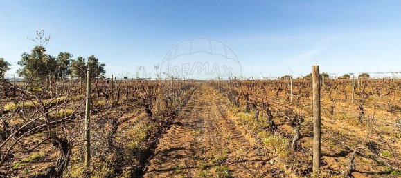 148900m² Land in Reguengos de Monsaraz, Portugal No. 108913 13