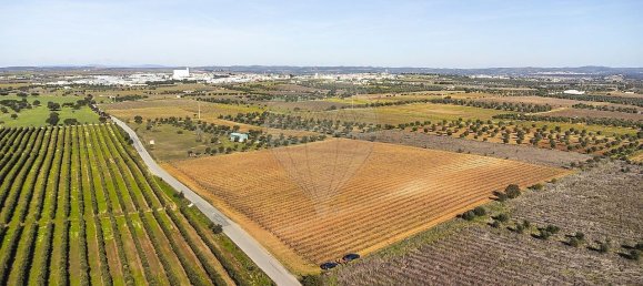 148900m² Land in Reguengos de Monsaraz, Portugal No. 108913 2