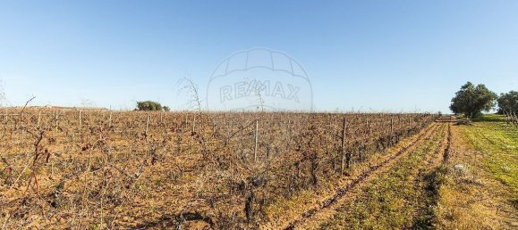 148900m² Land in Reguengos de Monsaraz, Portugal No. 108913 18