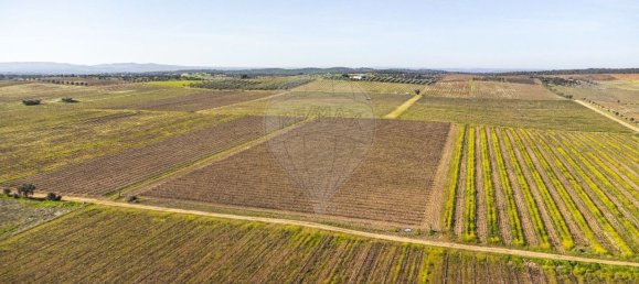 148900m² Land in Reguengos de Monsaraz, Portugal No. 108913 41