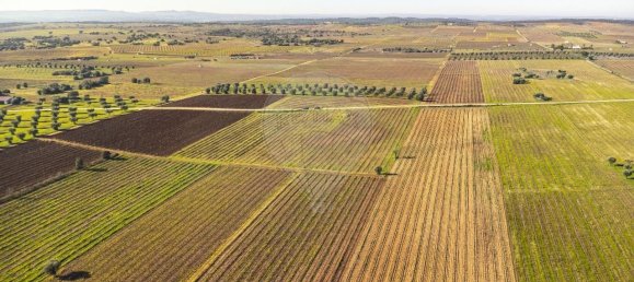 148900m² Land in Reguengos de Monsaraz, Portugal No. 108913 44