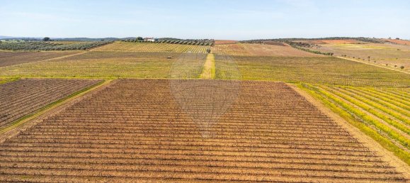 148900m² Land in Reguengos de Monsaraz, Portugal No. 108913 46