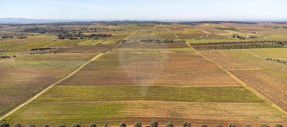 148900m² Land in Reguengos de Monsaraz, Portugal No. 108913 29