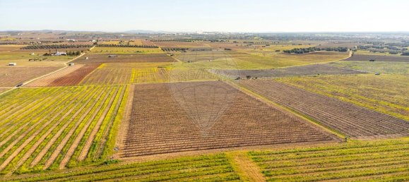 148900m² Land in Reguengos de Monsaraz, Portugal No. 108913 47