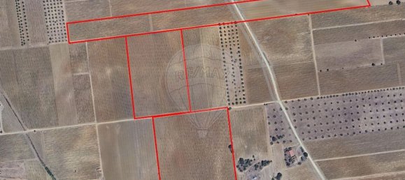 148900m² Land in Reguengos de Monsaraz, Portugal No. 108913 45