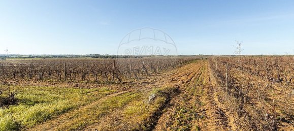 148900m² Land in Reguengos de Monsaraz, Portugal No. 108913 21