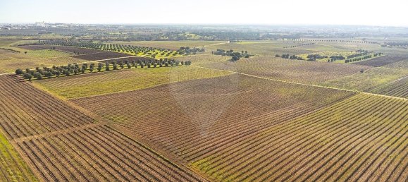 148900m² Land in Reguengos de Monsaraz, Portugal No. 108913 32