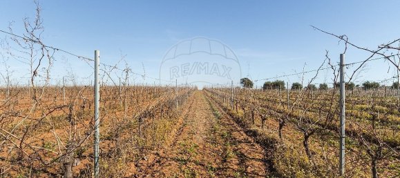 148900m² Land in Reguengos de Monsaraz, Portugal No. 108913 7