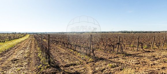 148900m² Land in Reguengos de Monsaraz, Portugal No. 108913 22