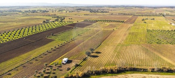 148900m² Land in Reguengos de Monsaraz, Portugal No. 108913 23