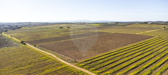 148900m² Land in Reguengos de Monsaraz, Portugal No. 108913 39