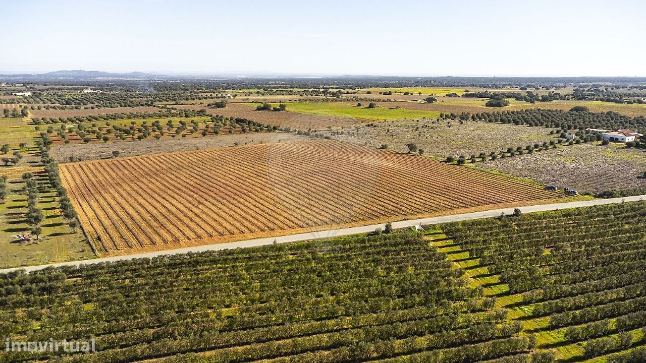 148900m² Land in Reguengos de Monsaraz, Portugal No. 108913
