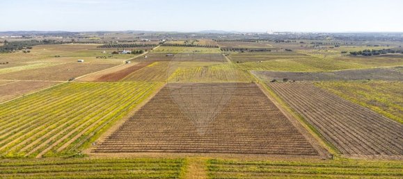 148900m² Land in Reguengos de Monsaraz, Portugal No. 108913 43