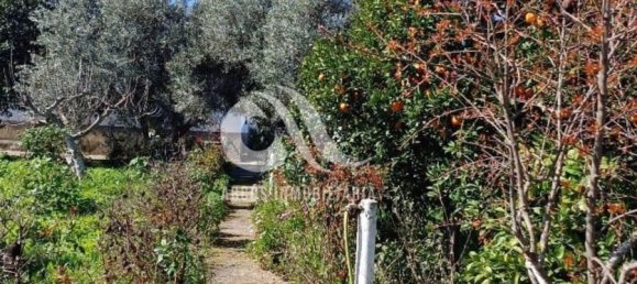 3 Schlafzimmer Haus in El Higueron, Spain, Nr. 187206 12