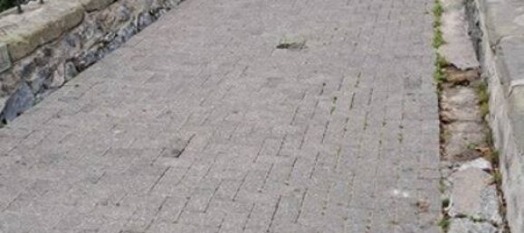 6 غرف نوم بناية في Soest, Germany رقم 280191 3