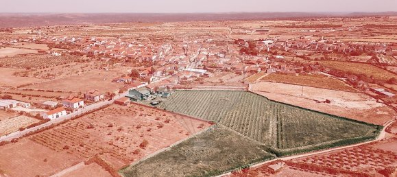 Casa T10 em Escalhão, Portugal N.º 19970 9