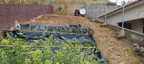 4 bedrooms House in Ponta do Sol, Portugal No. 143463 15