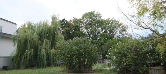 Terreno en Leobersdorf, Austria No. 89984 9