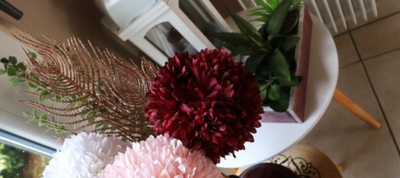 3 rooms Apartment in La Chapelle-Saint-Mesmin, France No. 223479 4