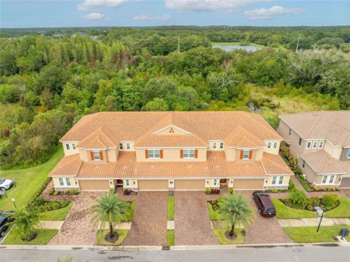 3 bedrooms House in Tampa, USA No. 226752