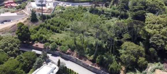 Grundstück in Sintra, Portugal 9690m², Nr. 133443 3