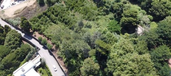 Grundstück in Sintra, Portugal 9690m², Nr. 133443 6