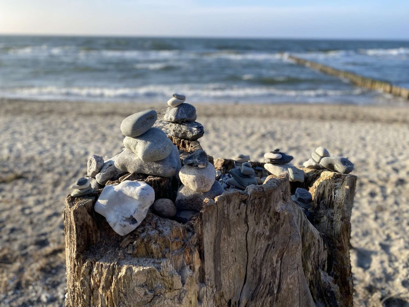 Terrain à Rostock, Germany No. 164104