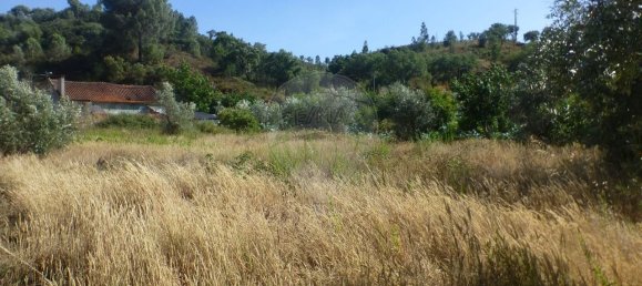 3 bedrooms House in Santa Margarida da Coutada, Portugal No. 24847 5