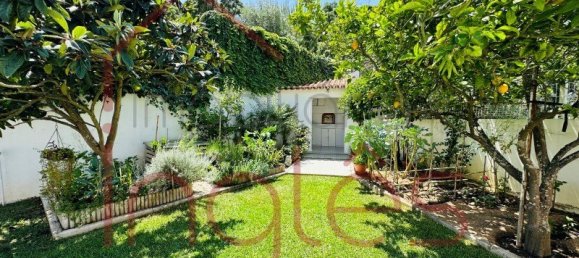 5 bedrooms House in Santarem, Portugal No. 146431 5