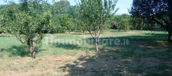 2500m² Land in Rivoli, Italy No. 290059 3