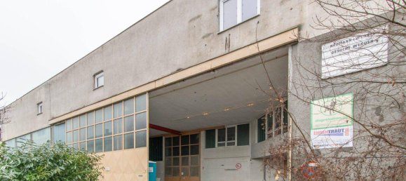 Imóvel comercial em Enns, Austria N.º 54209 4