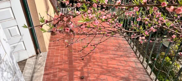 5 bedrooms Villa in Vila Real, Portugal No. 140764 38