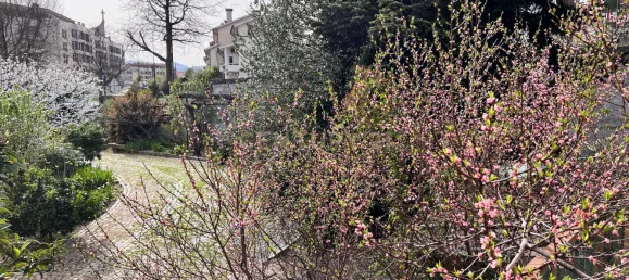 5 bedrooms Villa in Vila Real, Portugal No. 140764 14