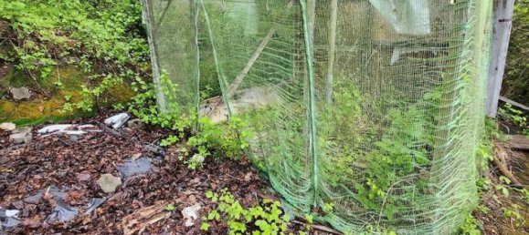 Земельный участок в Freudenstadt, Германия № 3786 3